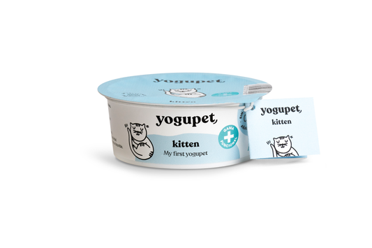 Йогурт за котенца Yogupet Kitten 110g